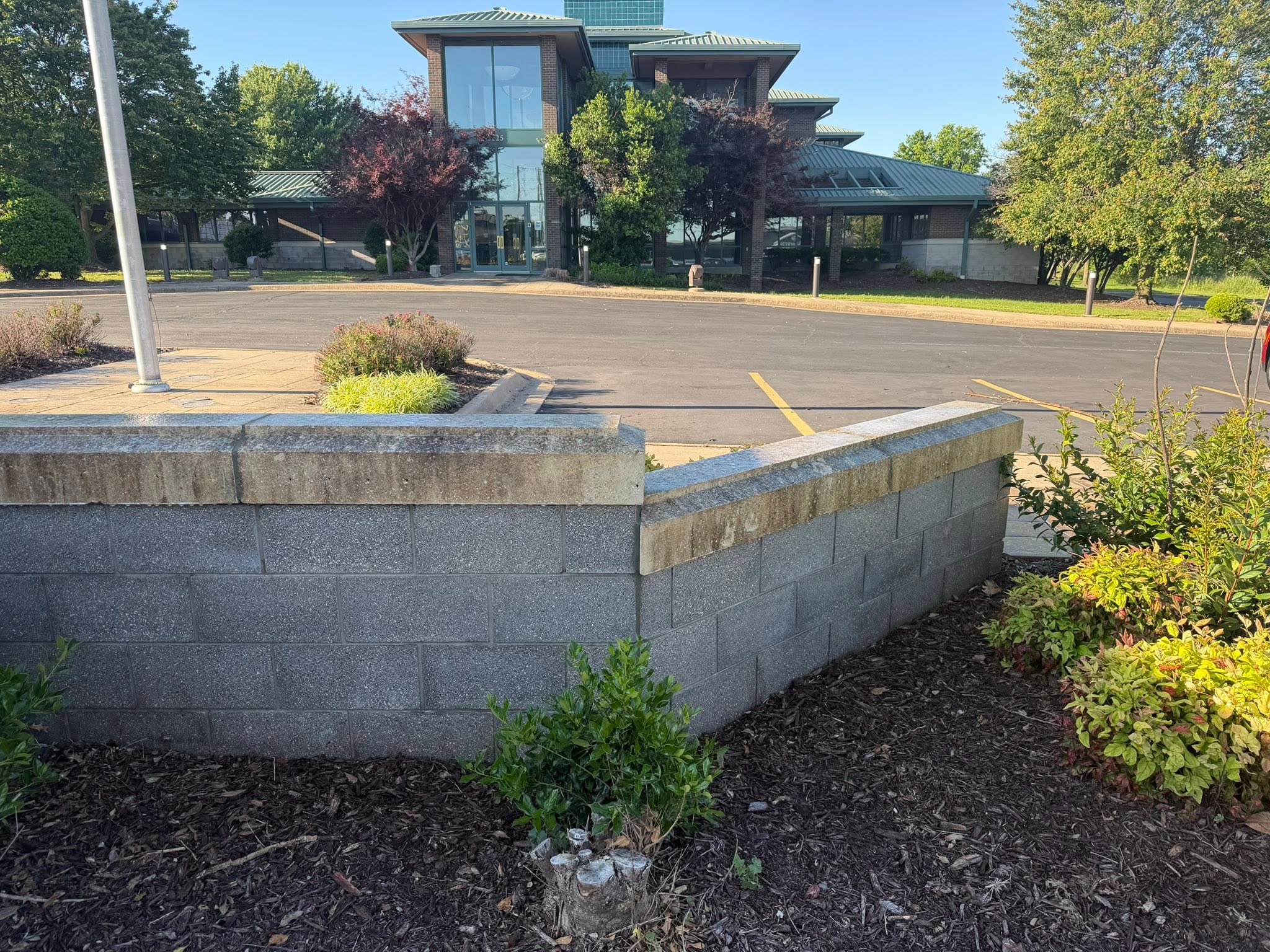 Driveway before power washing